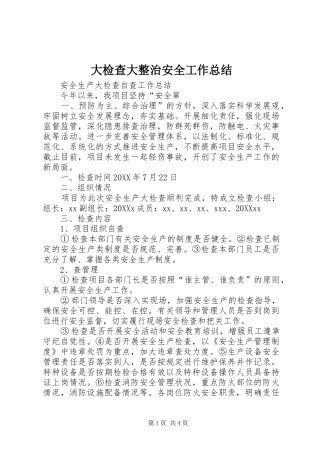 2024年大检查大整治安全工作总结