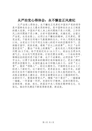 2024年从严治党心得体会永不懈怠正风肃纪