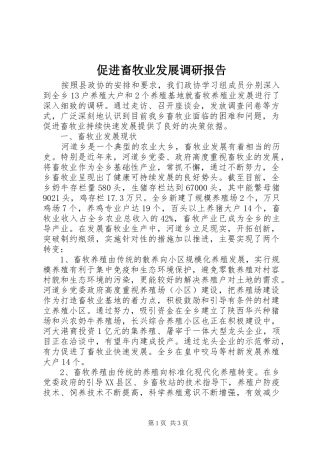 2024年促进畜牧业发展调研报告