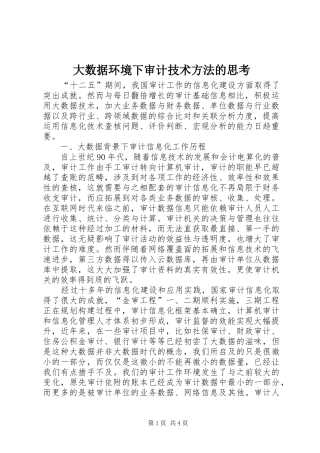 2024年大数据环境下审计技术方法的思考