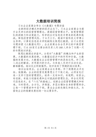 2024年大数据培训简报