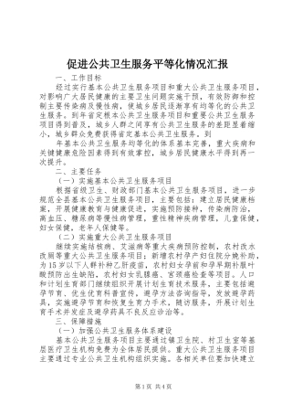 2024年促进公共卫生服务平等化情况汇报