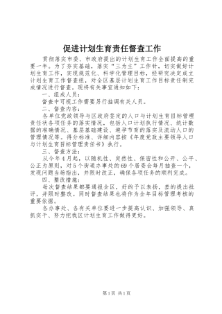 2024年促进计划生育责任督查工作