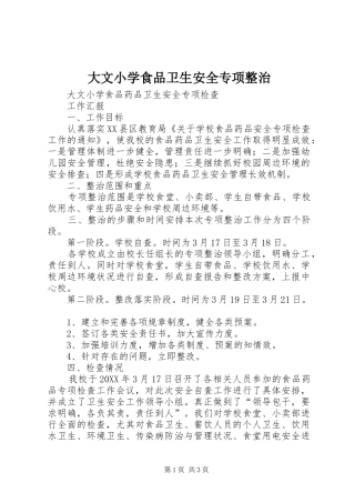 2024年大文小学食品卫生安全专项整治