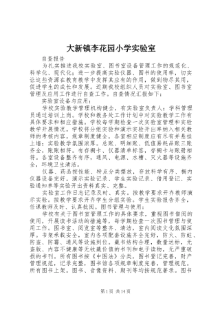 2024年大新镇李花园小学实验室