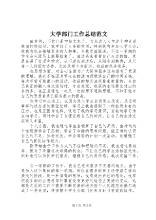 2024年大学部门工作总结范文