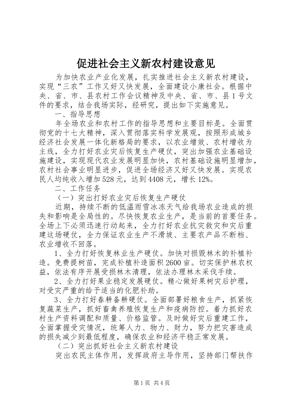 2024年促进社会主义新农村建设意见_第1页