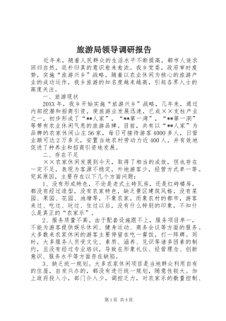 2024年旅游局领导调研报告