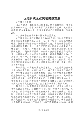 2024年促进乡镇企业快速健康发展