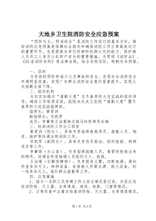 2024年大地乡卫生院消防安全应急预案