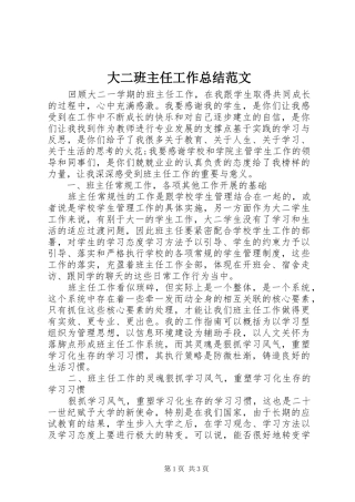 2024年大二班主任工作总结范文