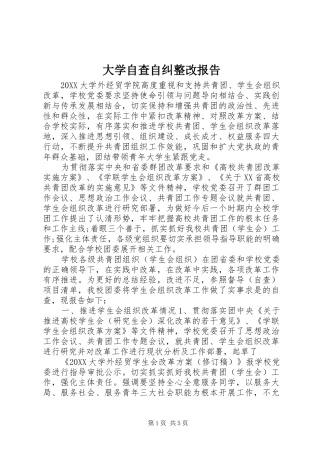 2024年大学自查自纠整改报告