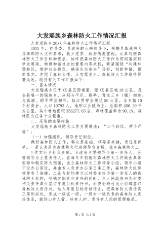 2024年大发瑶族乡森林防火工作情况汇报