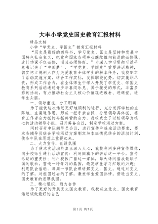 2024年大丰小学党史国史教育汇报材料