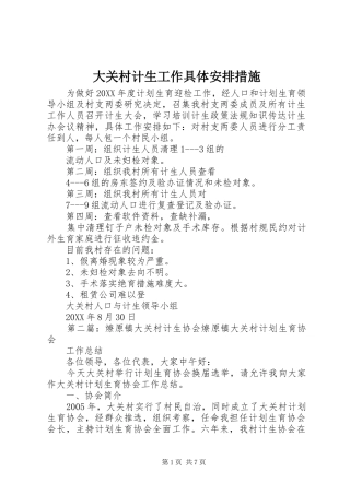 2024年大关村计生工作具体安排措施