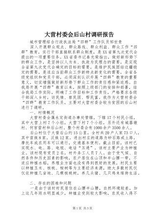 2024年大营村委会后山村调研报告