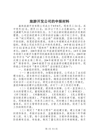 2024年旅游开发公司的申报材料