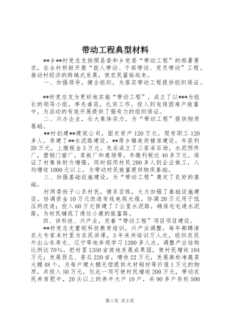 2024年带动工程典型材料