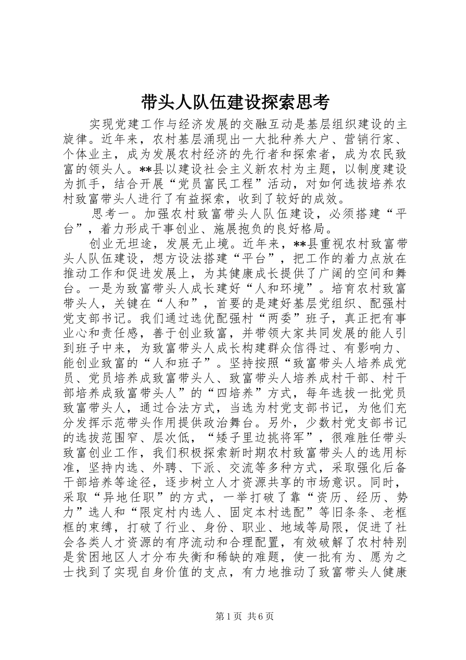 2024年带头人队伍建设探索思考_第1页