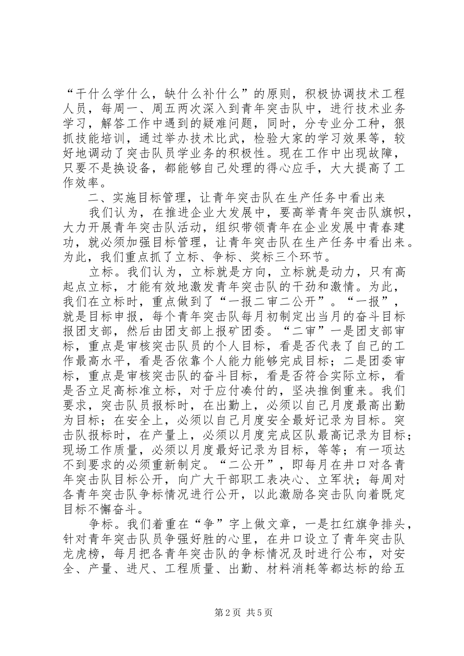 2024年大力开展青年突击队活动组织带领青年在企业发展中青春建功_第2页