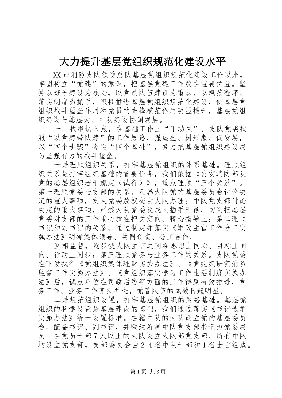 2024年大力提升基层党组织规范化建设水平_第1页