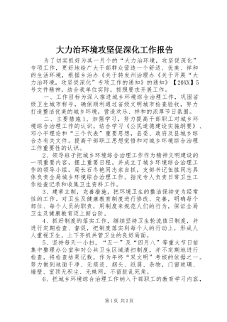 2024年大力治环境攻坚促深化工作报告
