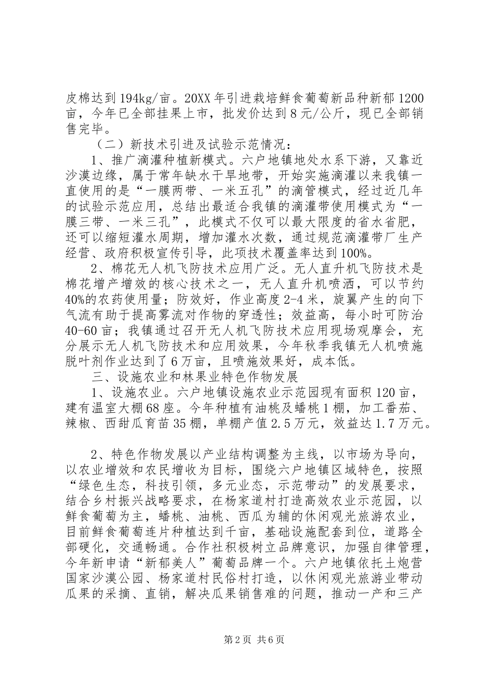 2024年大农口工作总结_第2页