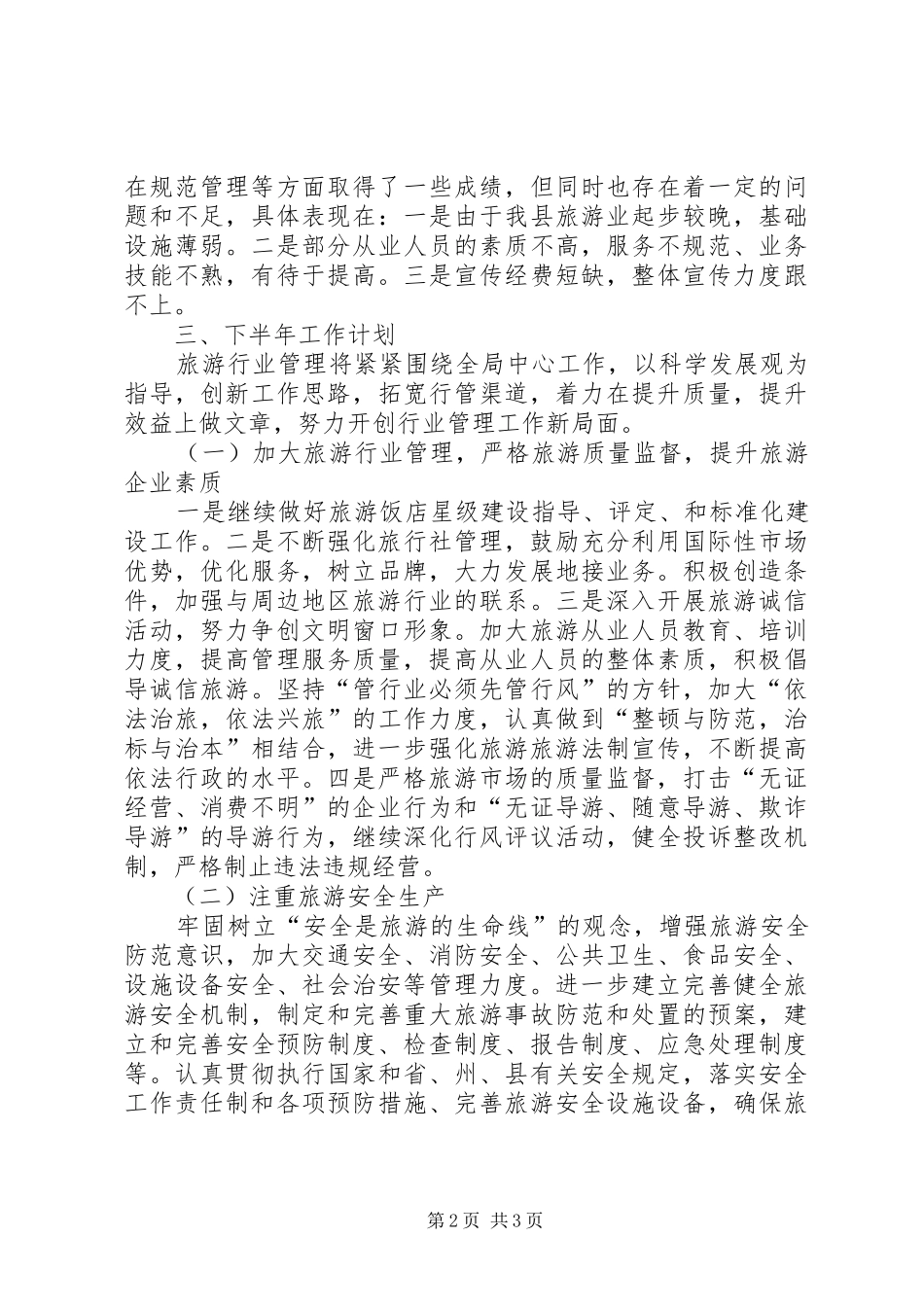2024年旅游行业管理半年工作汇报_第2页