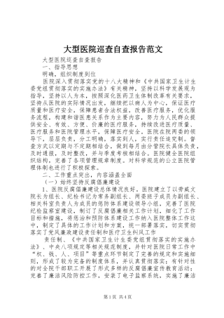 2024年大型医院巡查自查报告范文