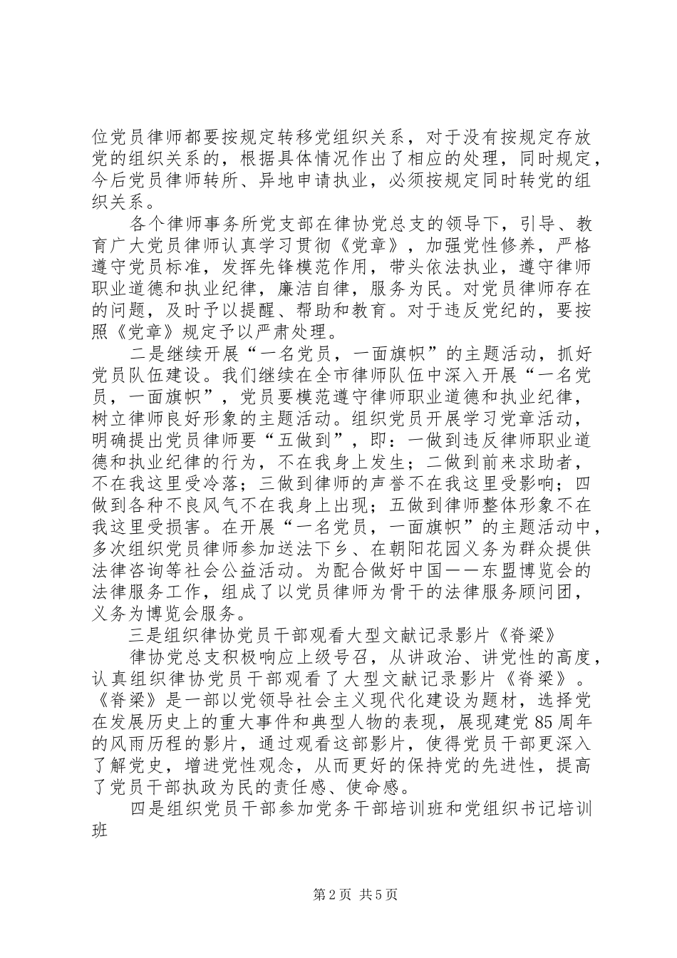 2024年律师协会党总支工作总结_第2页