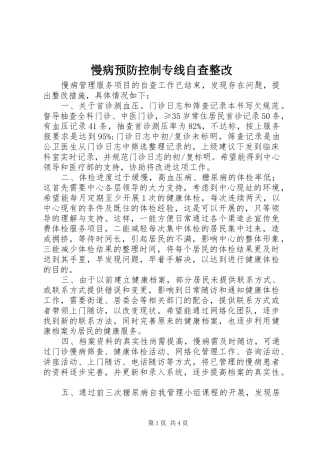 2024年慢病预防控制专线自查整改