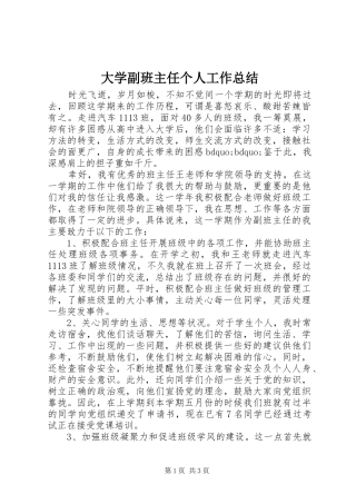 2024年大学副班主任个人工作总结