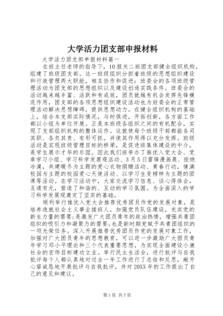 2024年大学活力团支部申报材料
