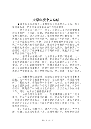 2024年大学年度个人总结
