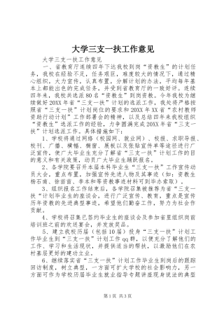 2024年大学三支一扶工作意见