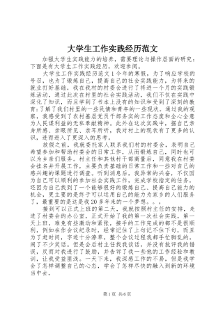 2024年大学生工作实践经历范文