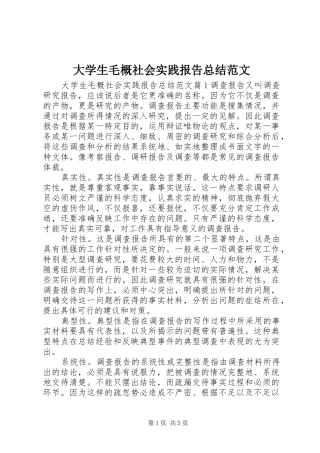 2024年大学生毛概社会实践报告总结范文