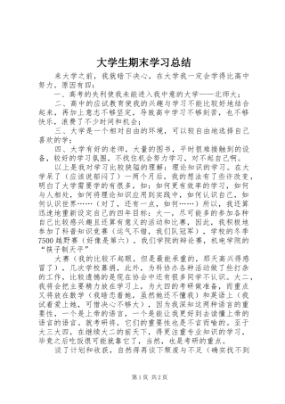 2024年大学生期末学习总结