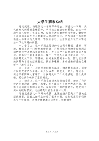 2024年大学生期末总结