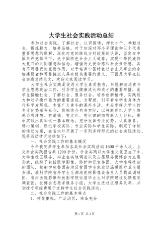 2024年大学生社会实践活动总结
