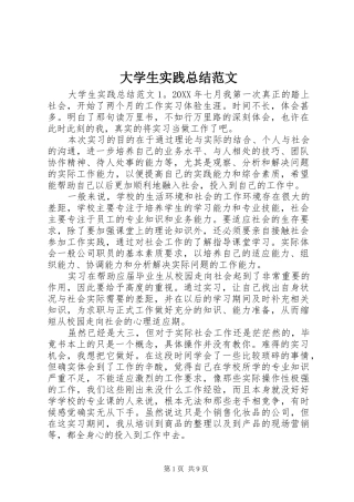 2024年大学生实践总结范文