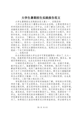 2024年大学生暑期招生实践报告范文
