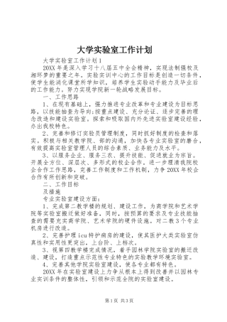 2024年大学实验室工作计划