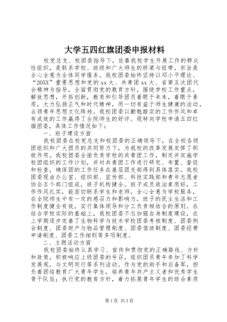 2024年大学五四红旗团委申报材料