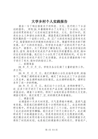 2024年大学乡村个人实践报告