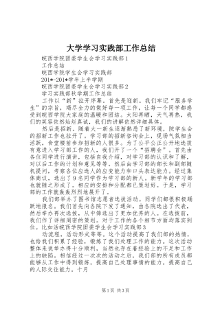 2024年大学学习实践部工作总结