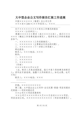 2024年大中型企业公文写作报告汇报工作进展