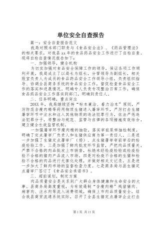 2024年单位安全自查报告