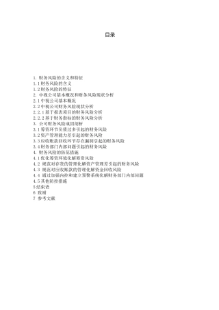 广西中视壹盾科技有限公司财务风险分析与防范分析研究 会计学专业