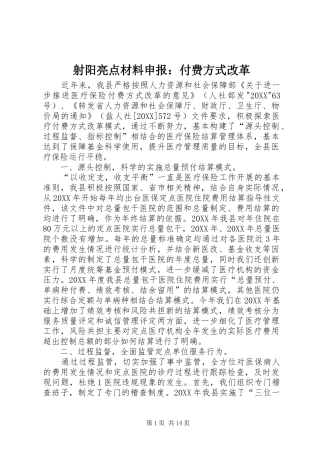 2024年射阳亮点材料申报付费方式改革